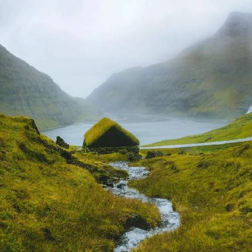 هیچکس بازم کلان